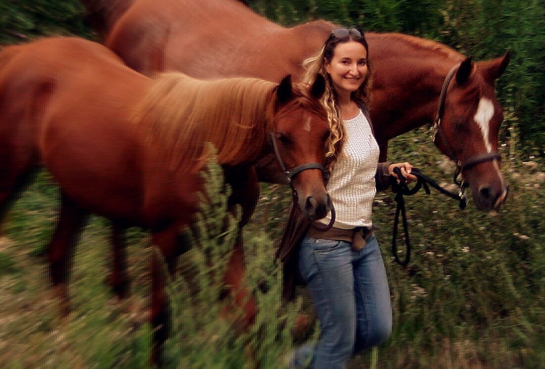 Angélique, Arabians Wish